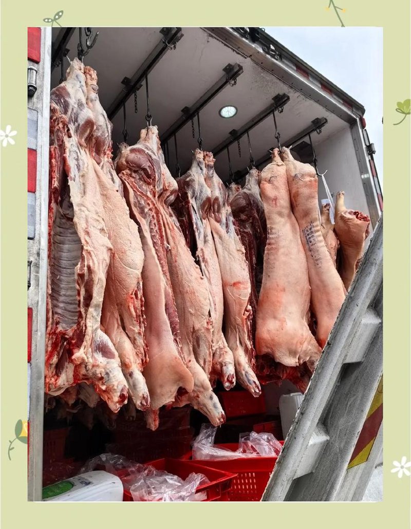 冷鲜肉供应:让餐桌上的选择更多样化