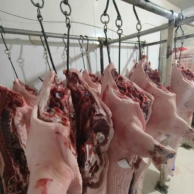 猪肉市场新趋势:兰陵猪肉批发引领风潮