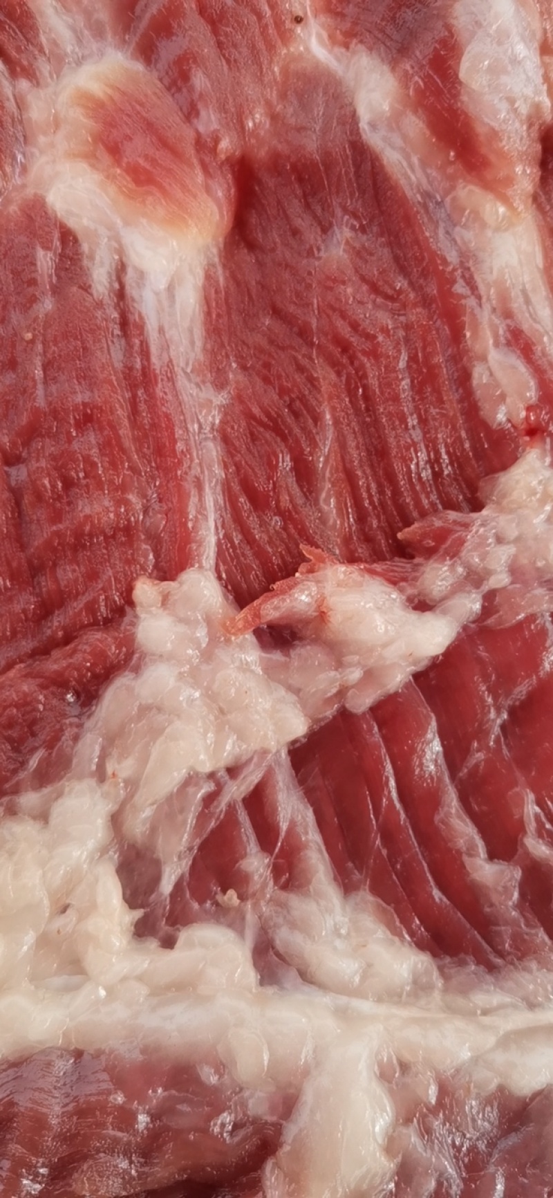 兰陵猪肉批发